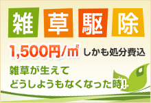 雑草駆除 処分費込 雑草が生えてどうしようもなくなった時！