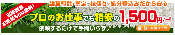 雑草駆除・剪定、枝切り。処分費込みだから安心。プロのお仕事でも格安の1,500円/㎡ 依頼するだけで手間いらず。【現地調査お見積もりは無料】